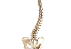 Spine Deformities